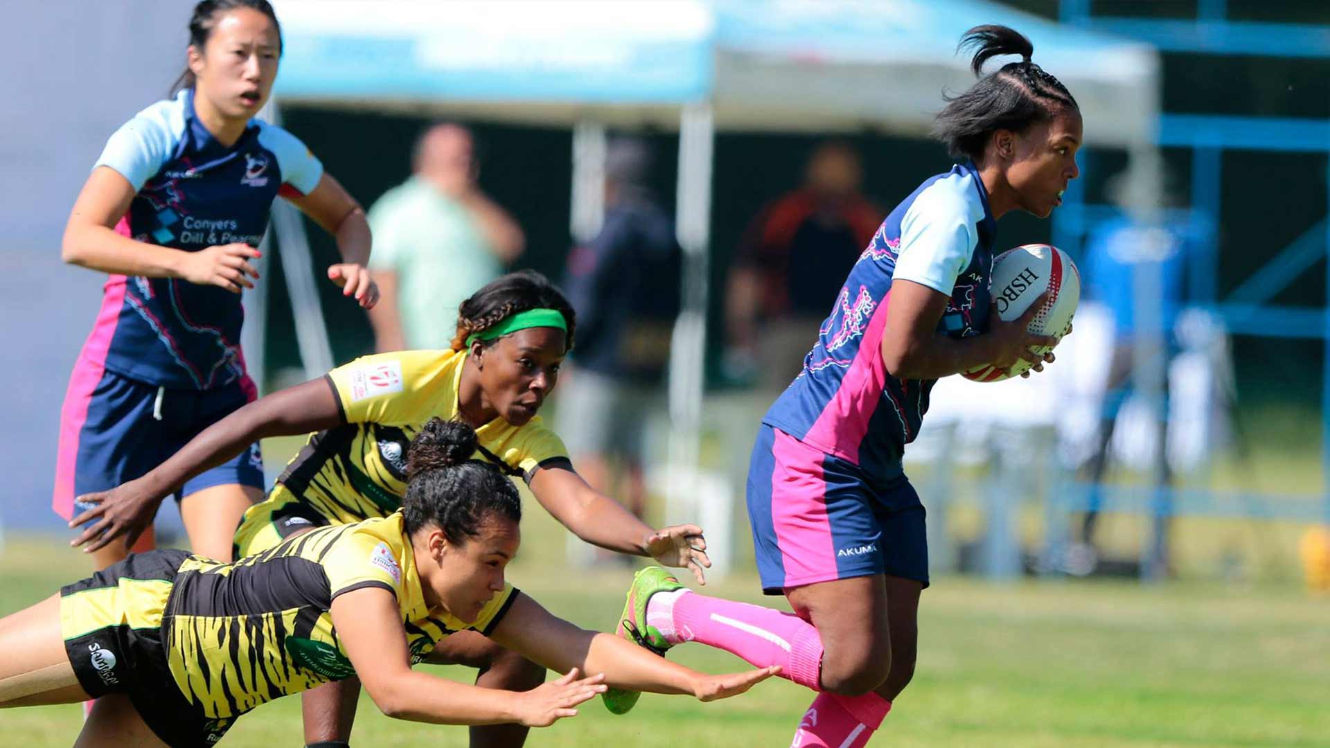 Bermuda Rugby Football Union