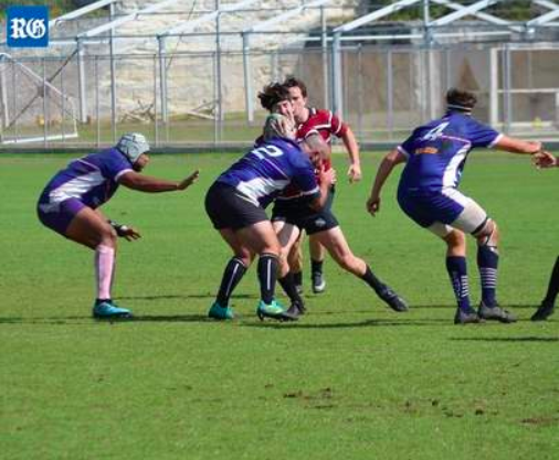 Bermuda make light work of Harvard